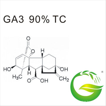Ácido Gibberelico (GA3) 90%